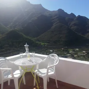 Makondo Agaete (Gran Canaria)
